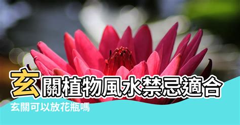 玄關放花|玄關放花好嗎？放花寓意花開富貴嗎